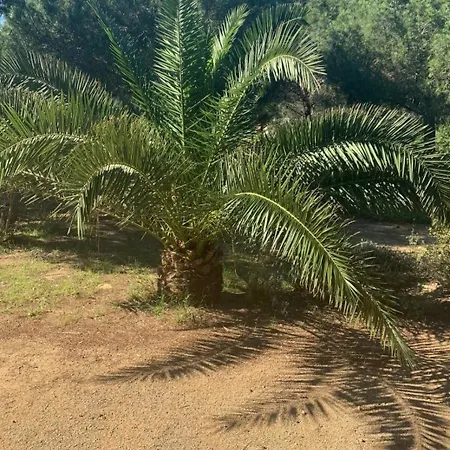 Apartamento Sablettes Vue 100 Metres De La La Seyne-sur-Mer